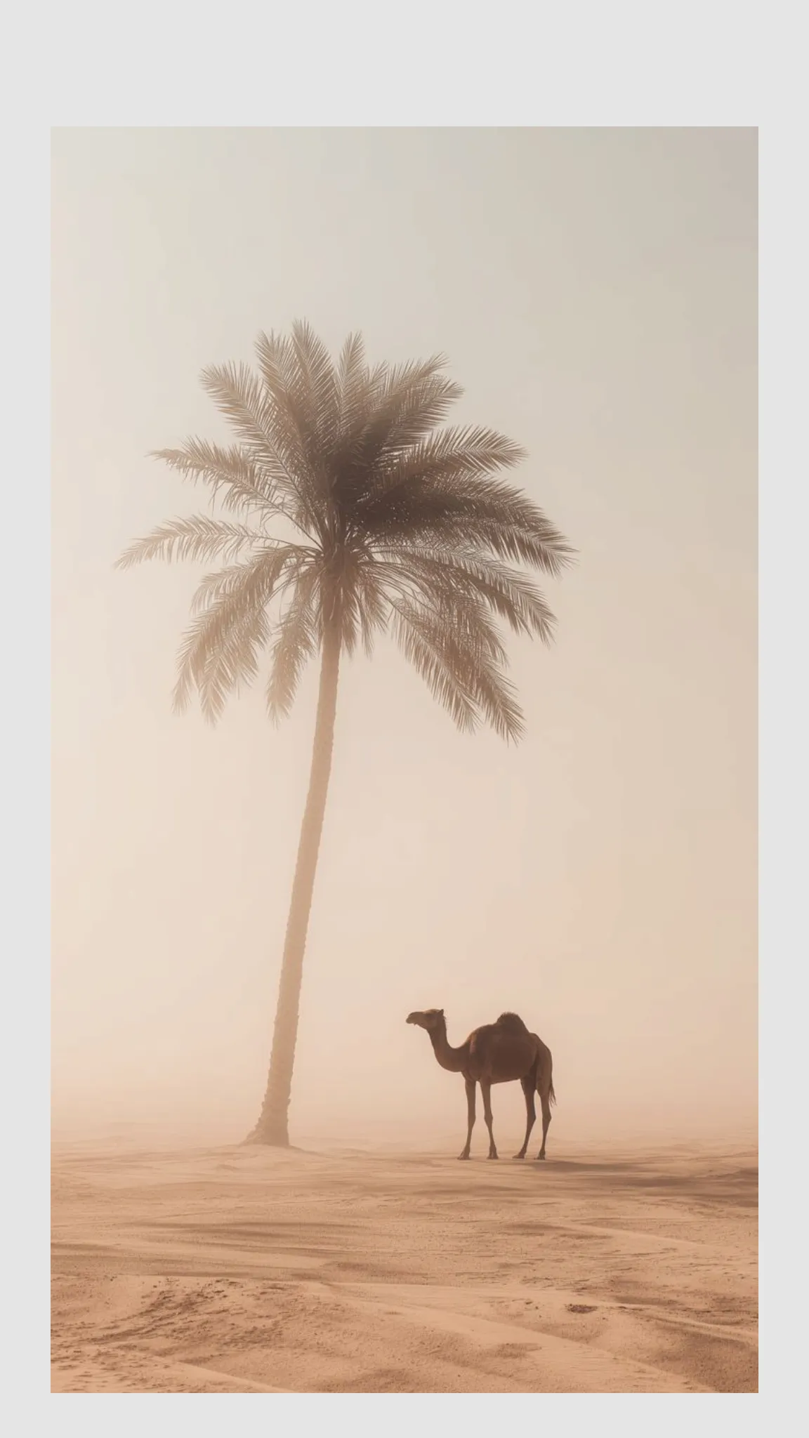 Bilal poster